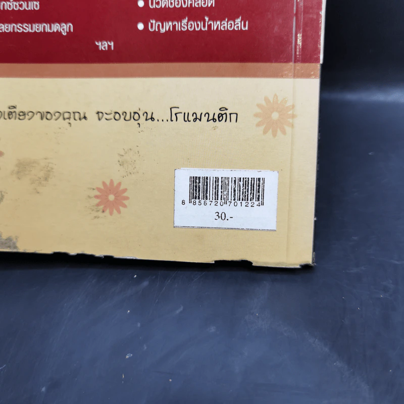 คู่มือเติมรักไออุ่น - พ.ญ.ชัญวลี ศรีสุโข รูปที่ 13