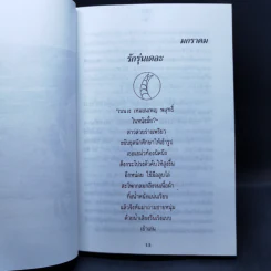 คลื่นรักในเมืองดิบ - อีแร้ง รูปที่ 10