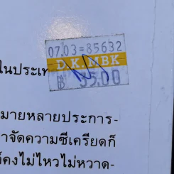 สูตรสำเร็จความเครียด ฉบับ สวัสดีประเทศไทย - ซูโม่ตู้ รูปที่ 12