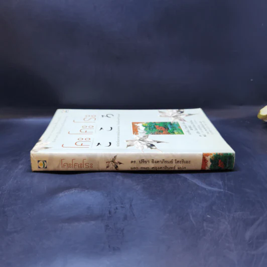 โคะโคะโระ - นะทซึเมะ โซเซะคิ รูปที่ 3