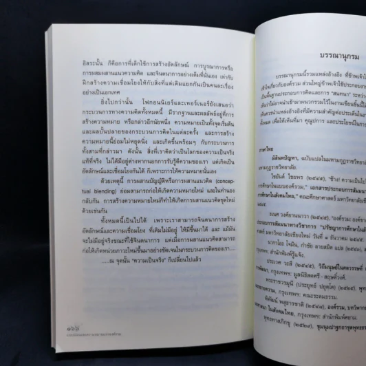 แบบแผนและความหมายแห่งองค์รวม - วีระ สมบูรณ์ รูปที่ 13