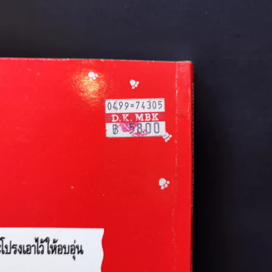 ใกล้กระโปรงเอาไว้ให้อบอุ่น - ดำรงค์ อารีกุล รูปที่ 12