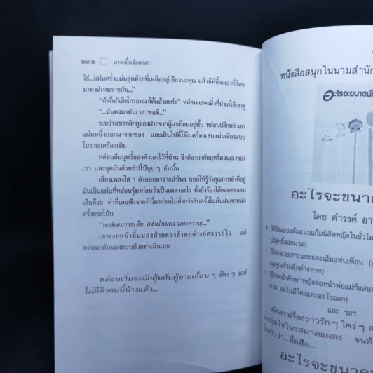 ใกล้กระโปรงเอาไว้ให้อบอุ่น - ดำรงค์ อารีกุล รูปที่ 11