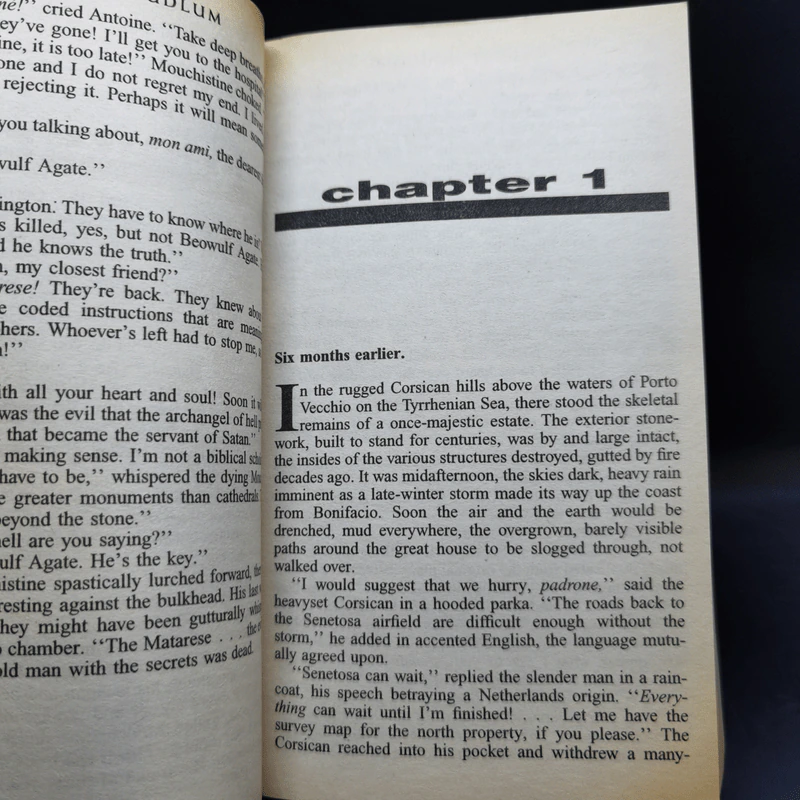 The Matarese Countdown - Robert Ludlum รูปที่ 10