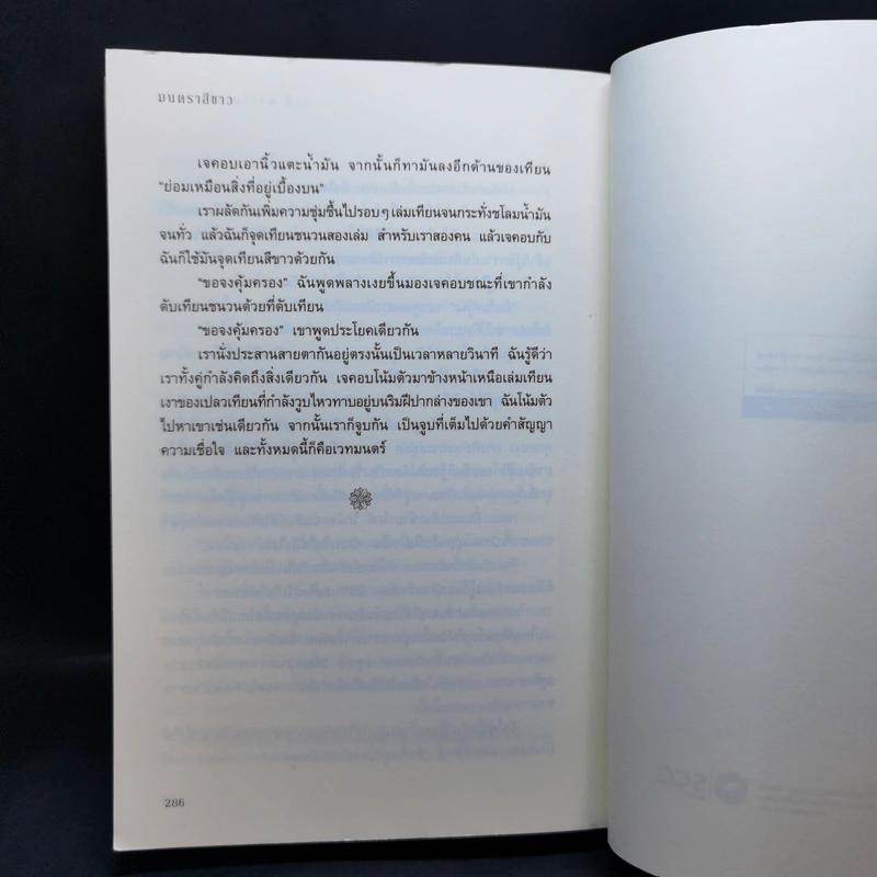 นิมิตมนตรา ตอน มนตราสีขาว - Laurie Faria Stolarz (ลอรี่ ฟาเรีย สโตลาร์ซ) รูปที่ 11
