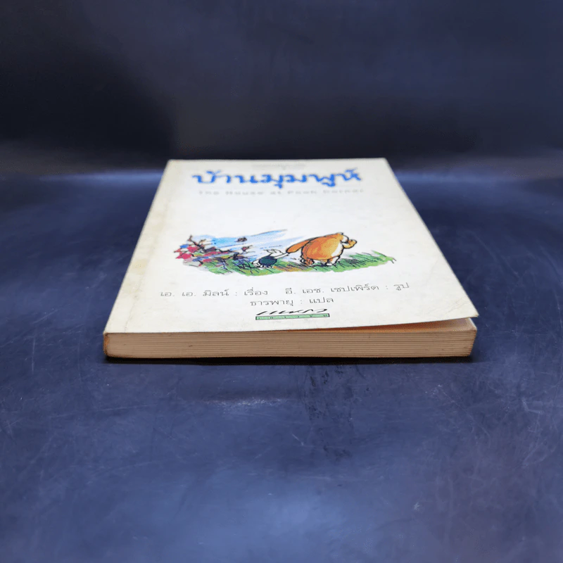 บ้านมุมพูห์ The House at Pooh Corner - เอ.เอ.มิลน์ รูปที่ 4