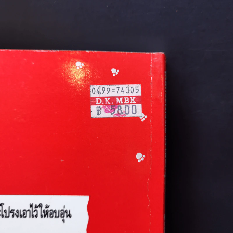 ใกล้กระโปรงเอาไว้ให้อบอุ่น - ดำรงค์ อารีกุล รูปที่ 12