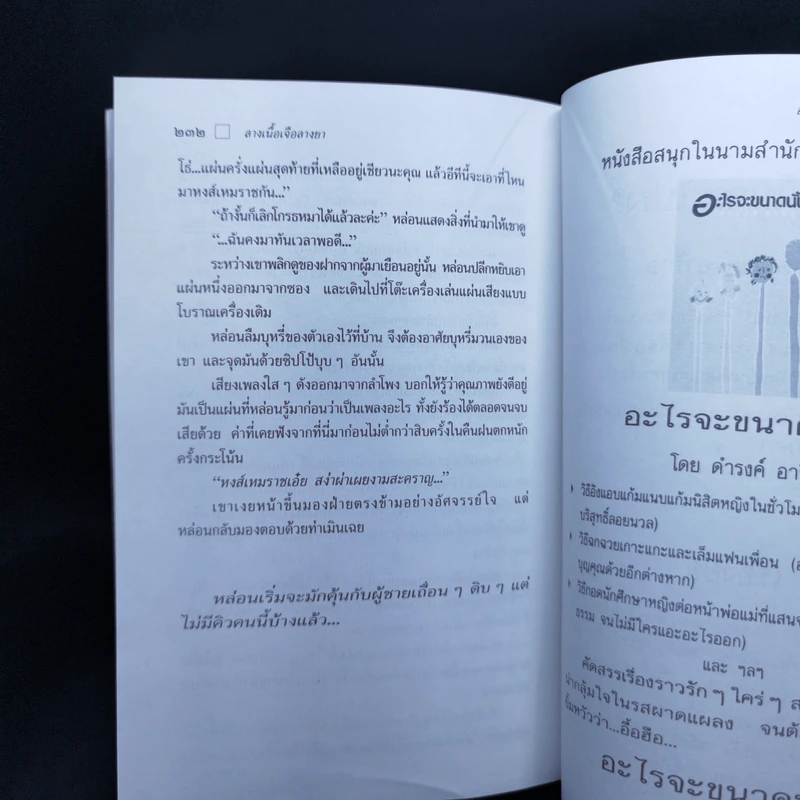 ใกล้กระโปรงเอาไว้ให้อบอุ่น - ดำรงค์ อารีกุล รูปที่ 11