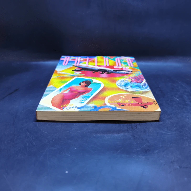 บินแหลก 4 - อีแร้ง รูปที่ 4