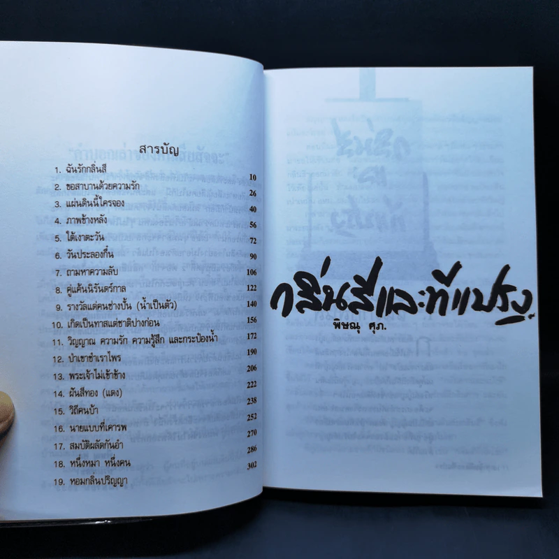 กลิ่นสีและทีแปรง - พิษณุ ศุภ รูปที่ 9