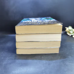 ชุด เงารัตติกาล เล่ม 1-3 + แม็กนัส เบน - คาสซานดรา แคลร์ รูปที่ 3