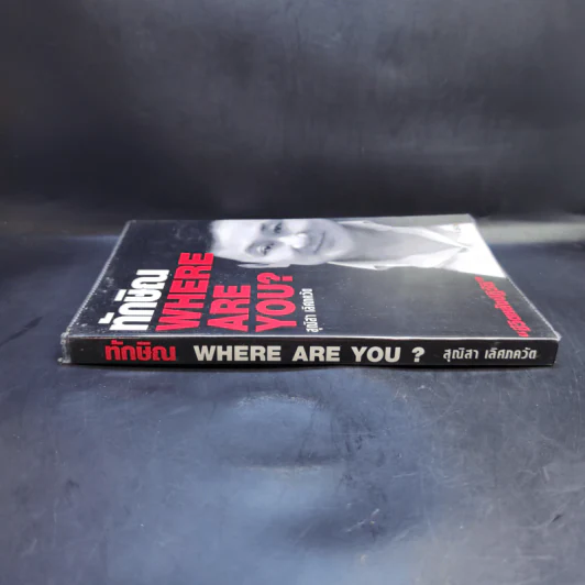 ทักษิณ Where Are You? - สุณิสา เลิศภควัต รูปที่ 3