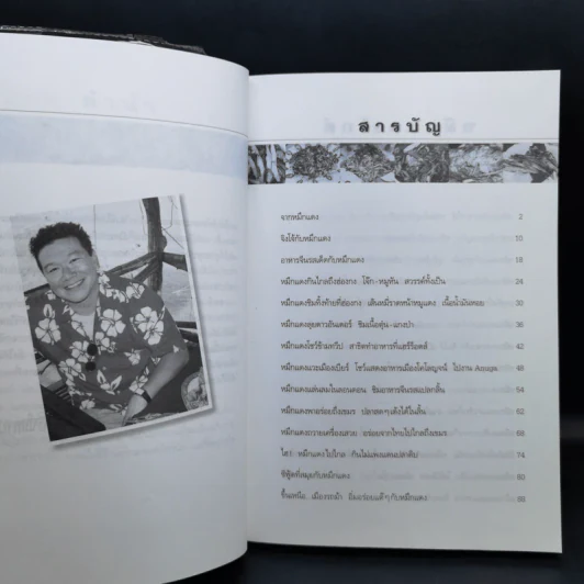หมึกแดงไกด์ - ม.ล.ศิริเฉลิม สวัสดิวัตน์ รูปที่ 10