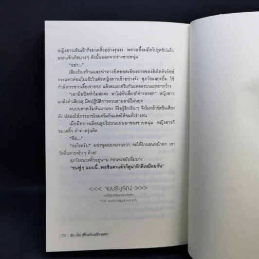 สิงห์(โต)เซี้ยวกับเหมียวแสบ 2 เล่มจบ - Fox รูปที่ 13