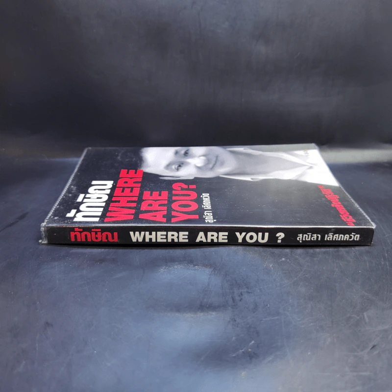 ทักษิณ Where Are You? - สุณิสา เลิศภควัต รูปที่ 3