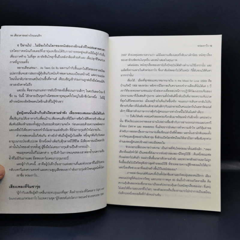 เดียวดายอย่างโรแมนติก : โลกของหว่องกาไว รูปที่ 11
