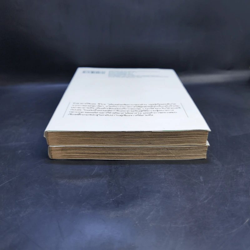 บันทึกคดีของยอดนักประเมิน เล่ม 1-2 รูปที่ 4