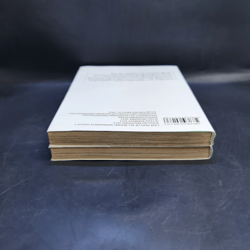 บันทึกคดีของยอดนักประเมิน เล่ม 1-2 รูปที่ 6