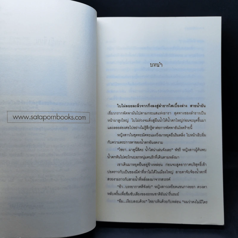 ป่ามรณะ The Forest - ซ่อนกลิ่น รูปที่ 8
