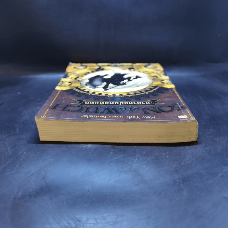 ทายาทแม่มดสติแตก - Gregory Maguire รูปที่ 6