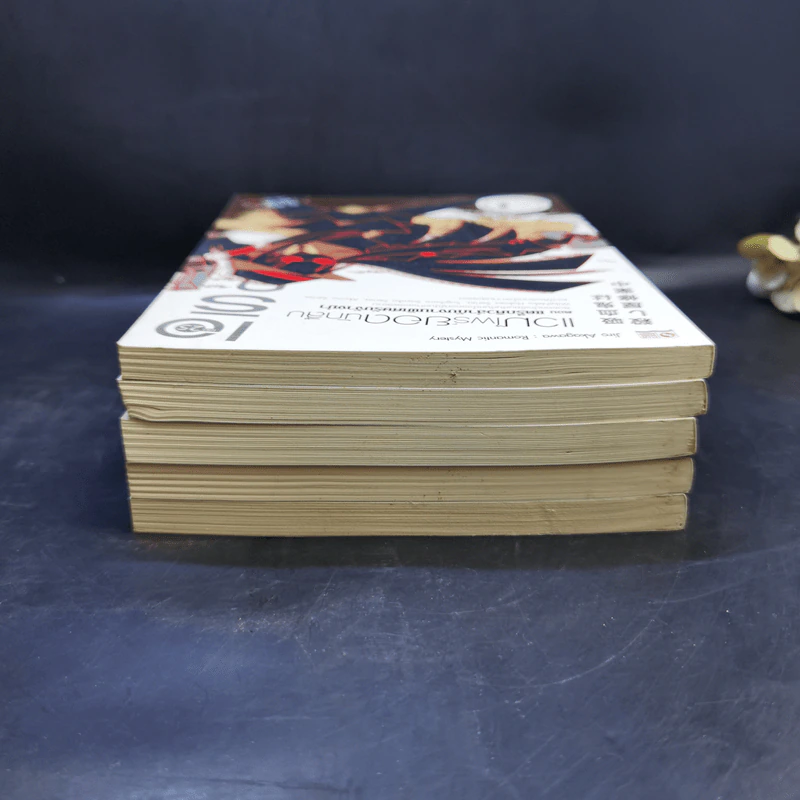 เอริกะ แวมไพร์ยอดนักสืบ ขายรวม 5 เล่ม รูปที่ 5