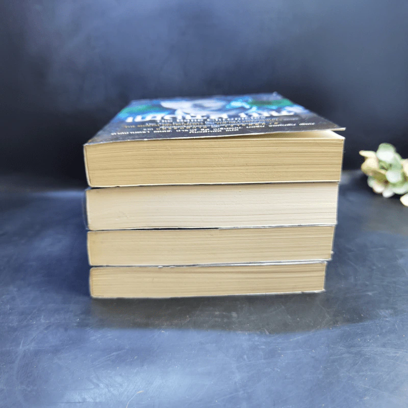 ชุด เงารัตติกาล เล่ม 1-3 + แม็กนัส เบน - คาสซานดรา แคลร์ รูปที่ 3