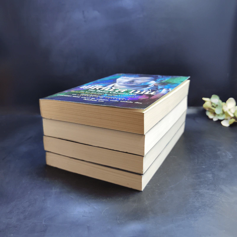 ชุด เงารัตติกาล เล่ม 1-3 + แม็กนัส เบน - คาสซานดรา แคลร์ รูปที่ 6