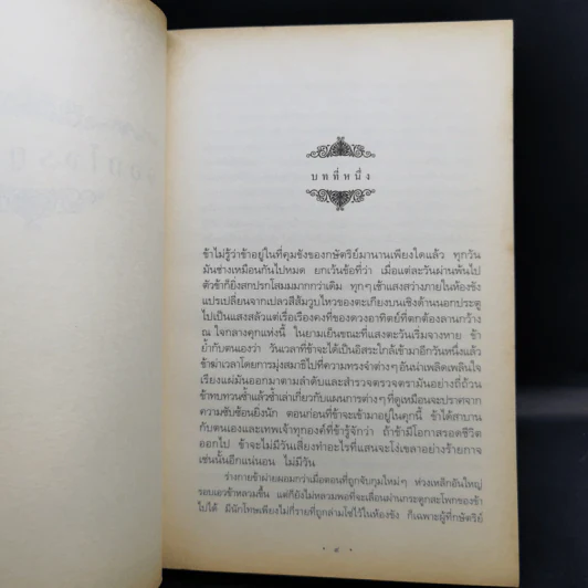 ราชันแห่งแอทโทเลีย + จอมโจรยูเจนิดิส + ราชินีแห่งแอตโทเลีย - เมแกน วาเลน เทอร์เนอร์ รูปที่ 10