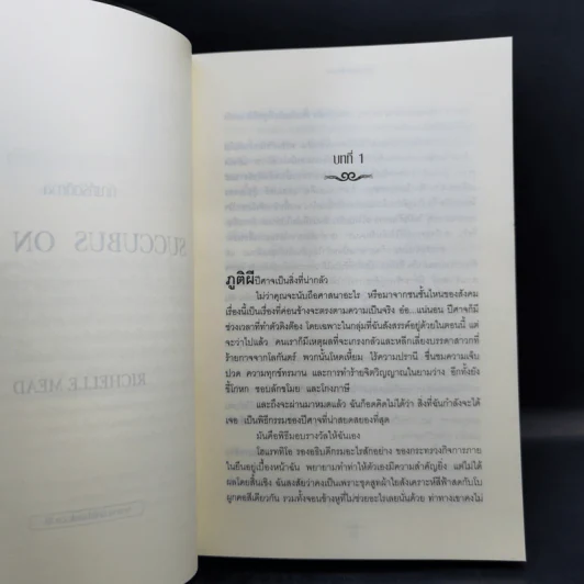 สาปฝันนิรันดร + ทัณฑ์รัตติกาล + ทัณฑ์รักชั่วนิรันดร์ - ริเชลล์ มี้ด รูปที่ 13