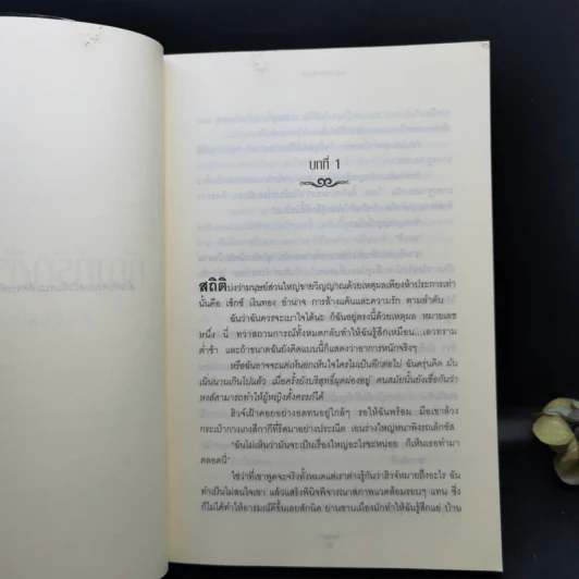 สาปฝันนิรันดร + ทัณฑ์รัตติกาล + ทัณฑ์รักชั่วนิรันดร์ - ริเชลล์ มี้ด รูปที่ 16