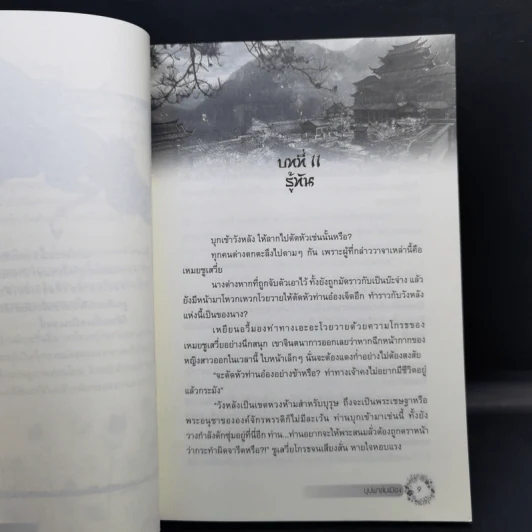 บุปผาล่มเมือง 2 เล่มจบ - โม่เหยียน รูปที่ 12
