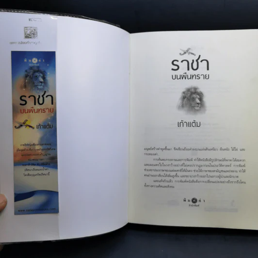 ชุดเจ้าทะเลทราย จิ้งจอกราตรี + อินทรีเหินเวหา + ราชาบนผืนทราย - เก้าแต้ม รูปที่ 7