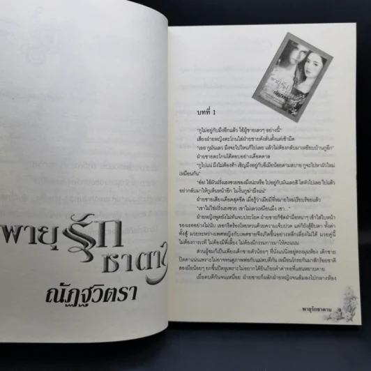 พายุรักซาตาน - ณัฏฐวิตรา รูปที่ 10
