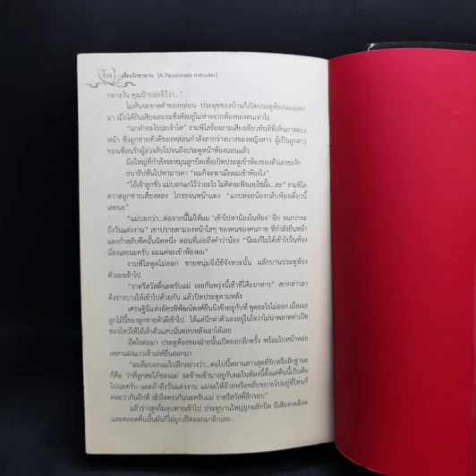 เสี่ยงรักซาตาน - กันทรากร รูปที่ 12
