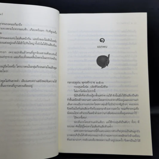 มธุรสโลกันตร์ - อุมาริการ์ รูปที่ 10