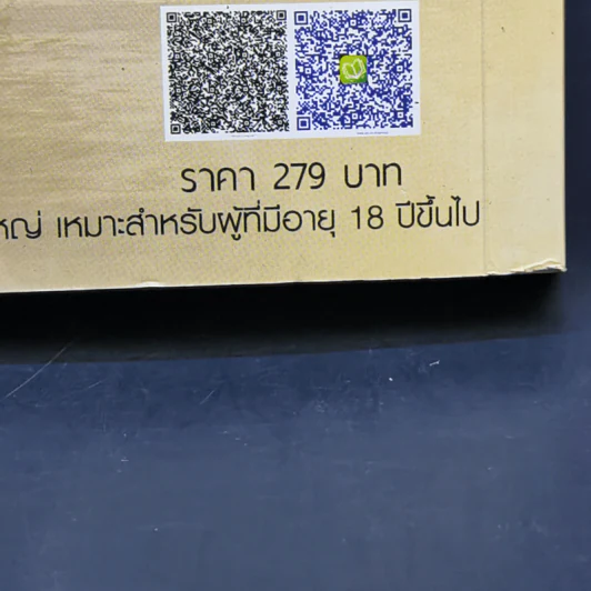 นิยายรักข้ามกาลเวลา เจ้าสาวห้าแผ่นดิน เจ้าสาวไวกิ้ง - ซินเหมย รูปที่ 11