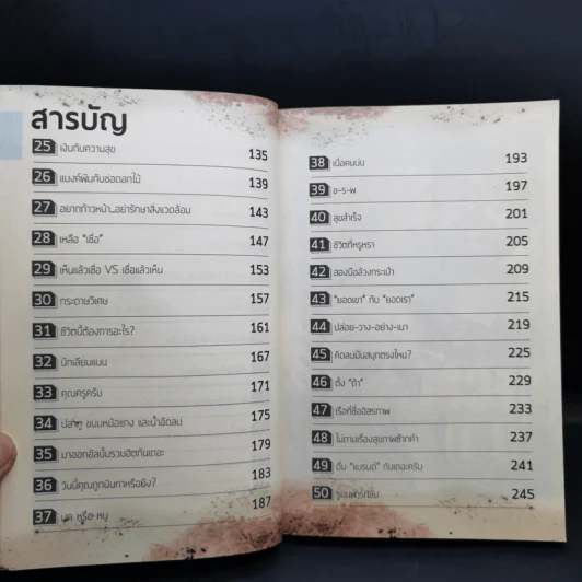งานไม่ประจำทำเงินกว่า - วิสูตร แสงอรุณเลิศ รูปที่ 12
