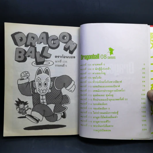 Dragonball Big Book เล่ม 8 รูปที่ 8