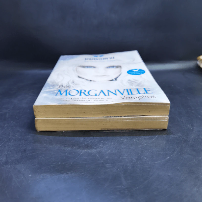 The Morganville Vampires เคหาสน์มายา + เกมซ่อนตาย - Rachel Caine (เรเชล เคน) รูปที่ 4