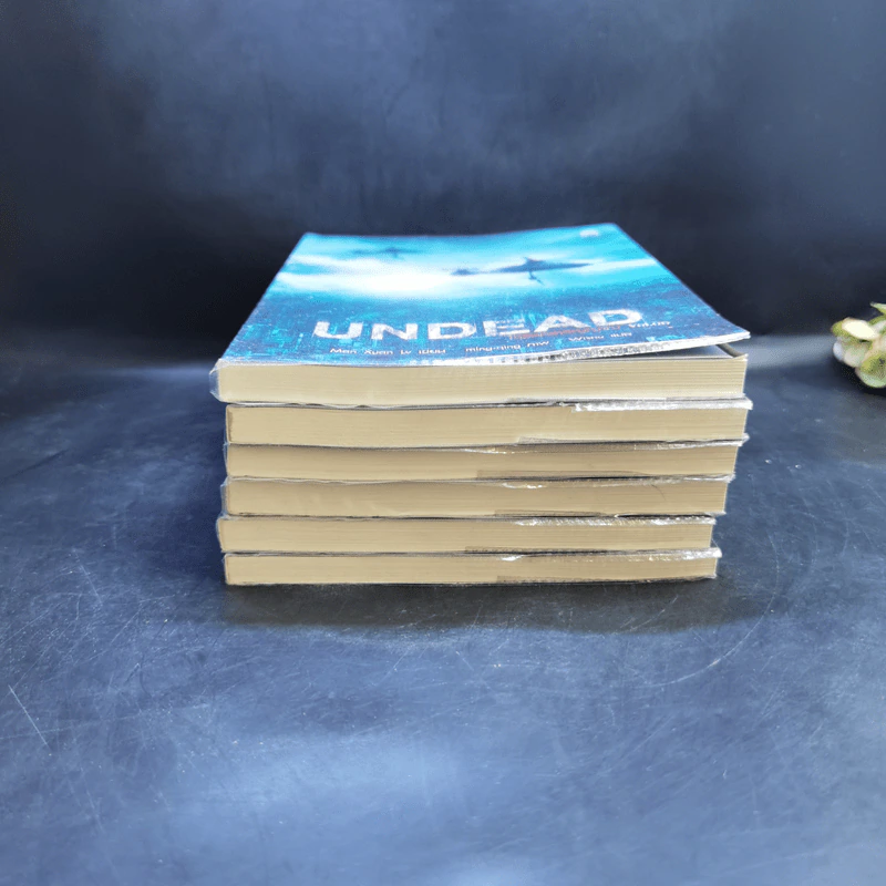 Undead ไวรัสคร่าวิญญาณ 6 เล่มจบ - Man Xuan Lv รูปที่ 3