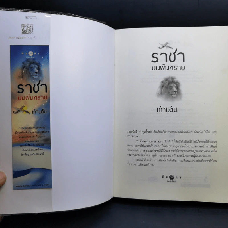 ชุดเจ้าทะเลทราย จิ้งจอกราตรี + อินทรีเหินเวหา + ราชาบนผืนทราย - เก้าแต้ม รูปที่ 7