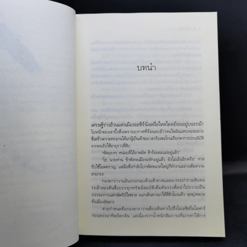 ชุดเจ้าทะเลทราย จิ้งจอกราตรี + อินทรีเหินเวหา + ราชาบนผืนทราย - เก้าแต้ม รูปที่ 12