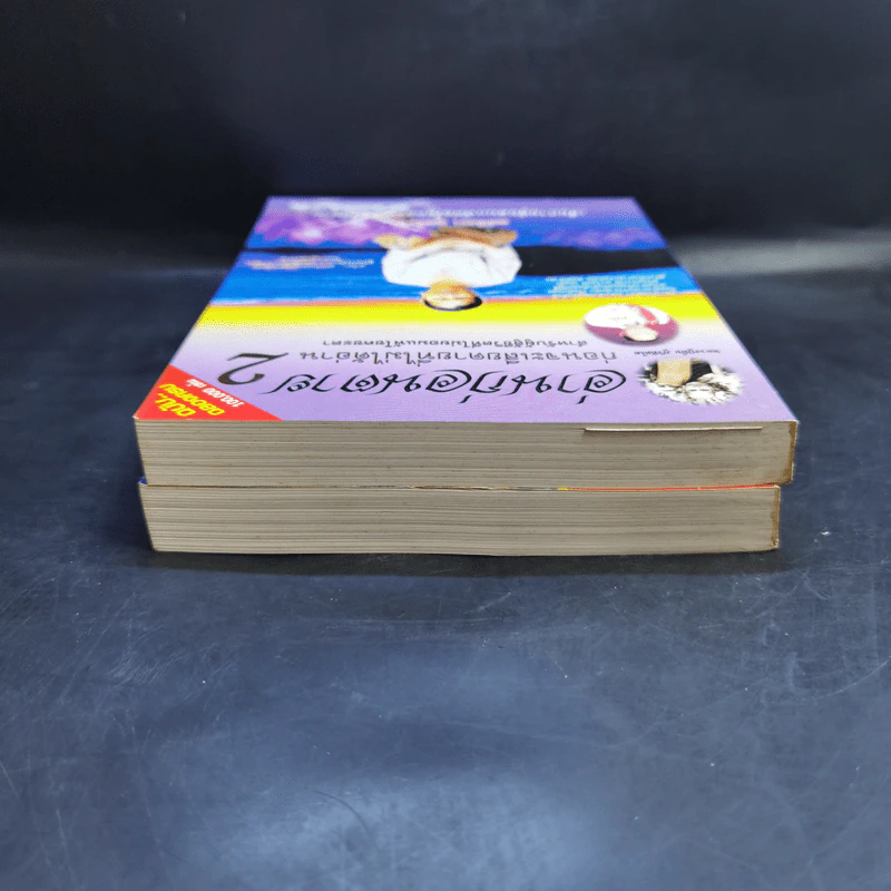 อ่านก่อนตาย ก่อนจะเสียดาย ที่ไม่ได้อ่าน เล่ม 1-2 - แม่จันทา ฤกษ์ยาม รูปที่ 6