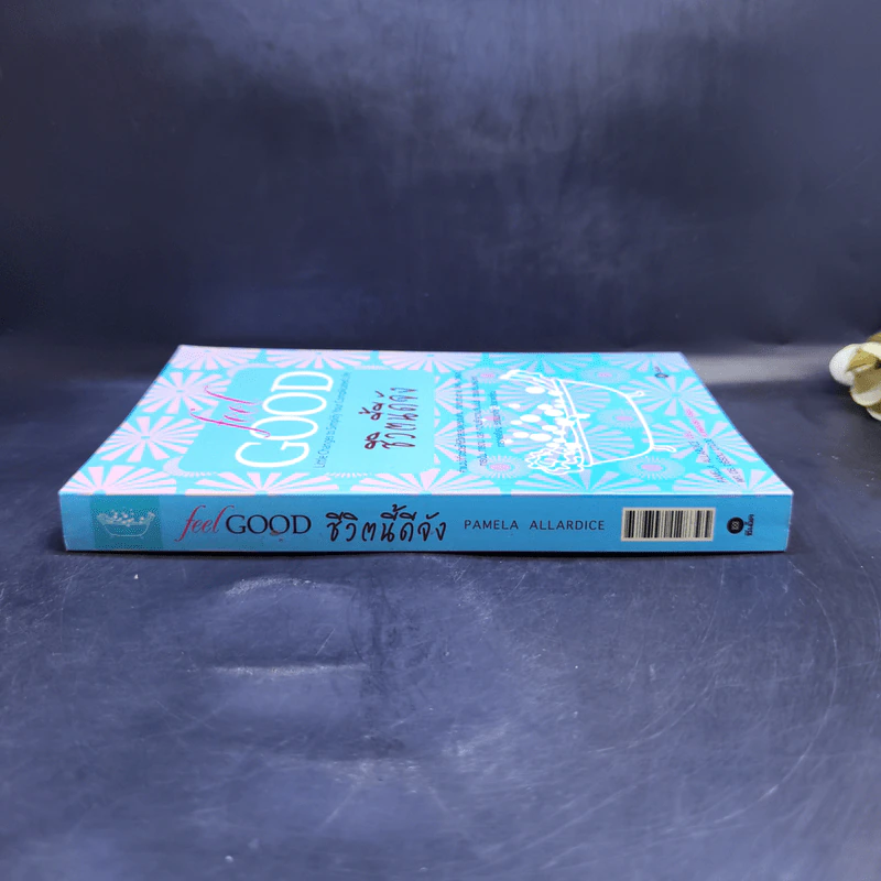 ชีวิตนี้ดีจัง Feel Good - Pamela Allardice รูปที่ 3