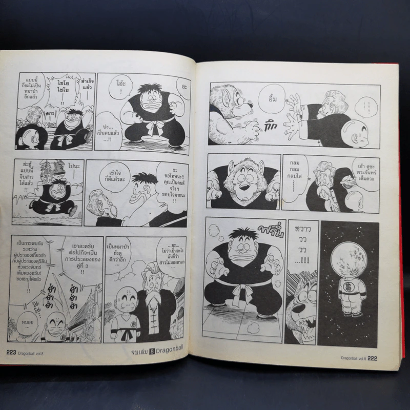 Dragonball Big Book เล่ม 8 รูปที่ 11