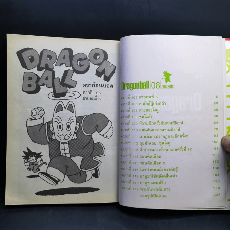 Dragonball Big Book เล่ม 8 รูปที่ 8