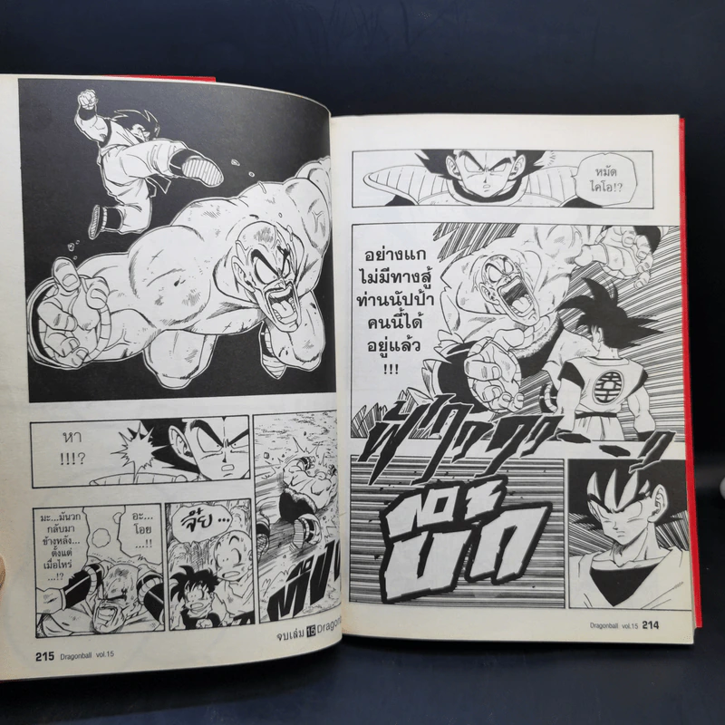 Dragonball Big Book เล่ม 15 รูปที่ 11