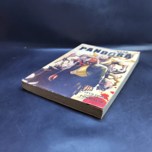 Pandora Book รูปที่ 7