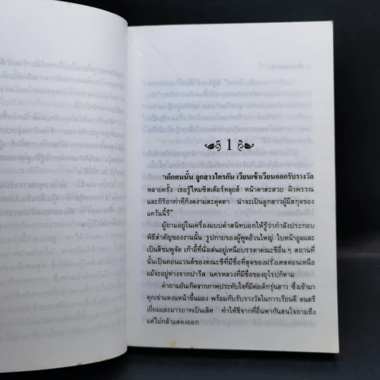 ฟ้าจรดทราย 2 เล่มจบ - โสภาค สุวรรณ รูปที่ 10
