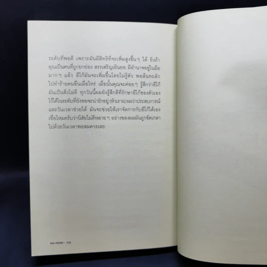 No More No Less - วงศ์ทนง ชัยณรงค์สิงห์ รูปที่ 11